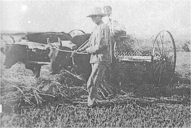 Воссоединение малых колхозов в более крупные