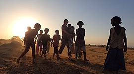 Timeline: linea de tiempo de la humanidad