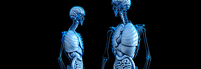 Creacion Laboratorio Bioinformatica y simulacion computacional