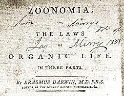 ingreso a la universidad