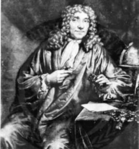 Leeuwenhoek