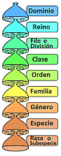 La clasificacion de los seres vivos