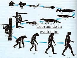 Evolucion de los seres vivos