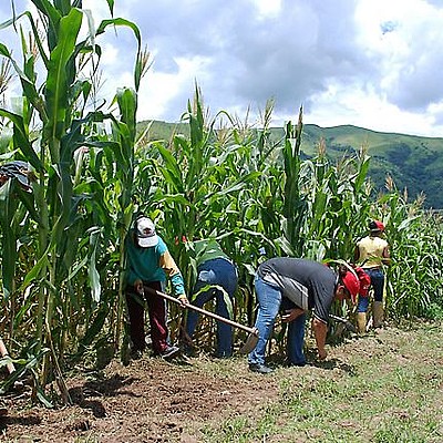 Timeline: PROGRAMAS SOCIALES DIRIGIDOS AL CAMPO