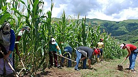 Timeline: PROGRAMAS SOCIALES DIRIGIDOS AL CAMPO