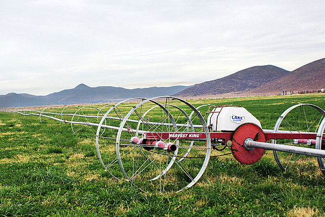 TECNIFICACIÓN DE RIEGO EN EL CAMPO MEXICANO.