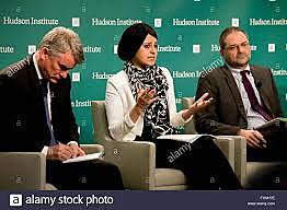 Analista de Políticas