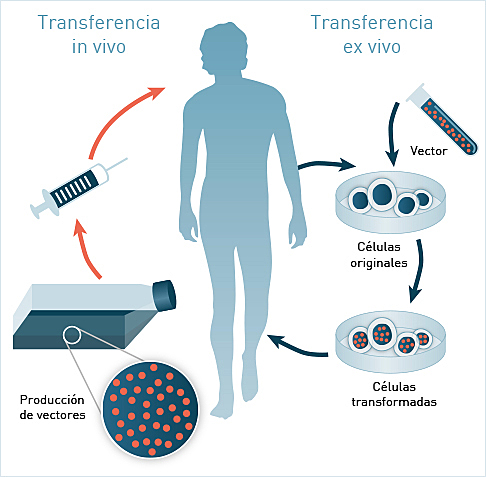 Terapia Genica (Psicologia)