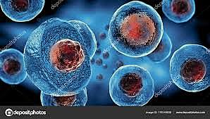 El primer tratamiento con células madre embrionarias (Genetica)