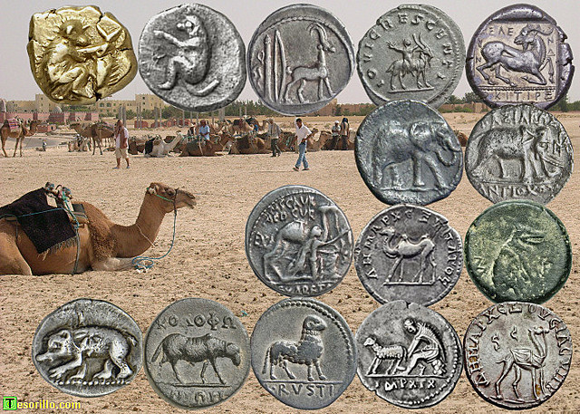 El Dinero en Forma de Moneda