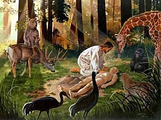 Creación del hombre