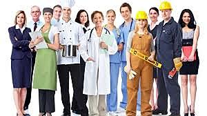 Servicios Profesionales