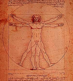 The Vitruvian Man
