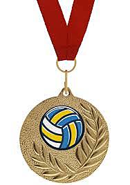 Estales voleibol