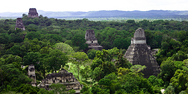 Creixement de Tikal