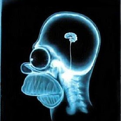 Timeline: HISTORIA DE LA ANTROPOLOGÍA FILOSÓFICA