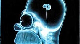 Timeline: HISTORIA DE LA ANTROPOLOGÍA FILOSÓFICA