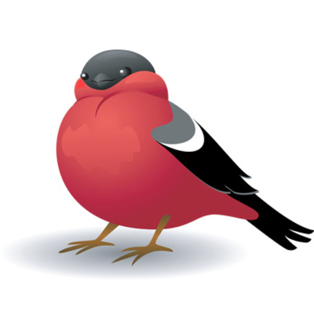 She swallowed the bird to catch the spider.