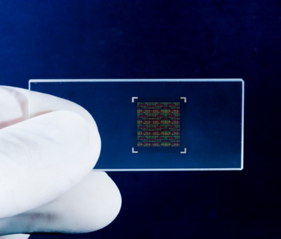 DNA chip was developed