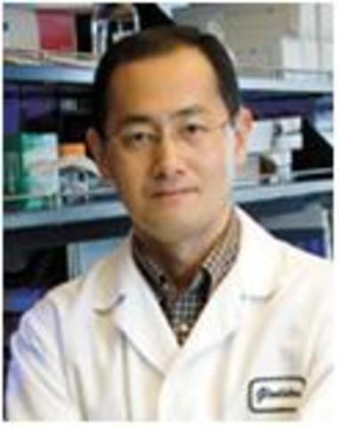 Primeiro trabalho: iPS murino (Yamanaka at al)