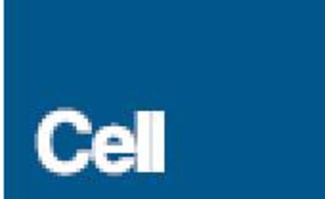 iPSC de humanos - Yamanaka