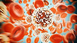 Timeline: Cancer Screenings