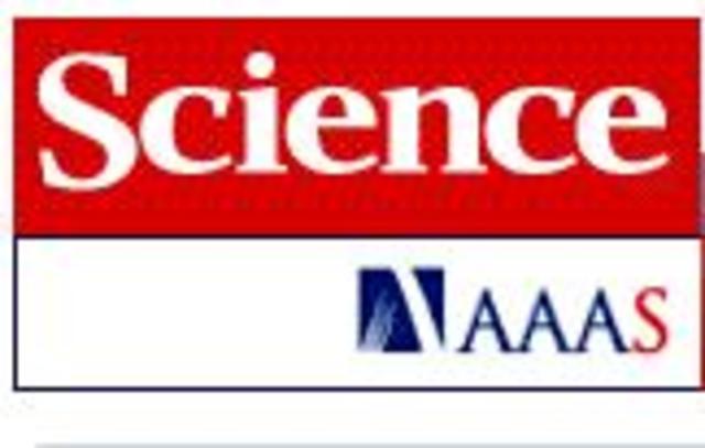 IPS humana - Thomsom