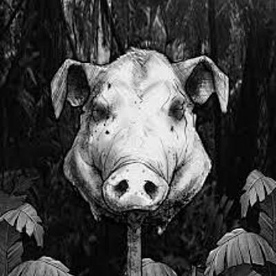 Timeline: Lord of the Flies