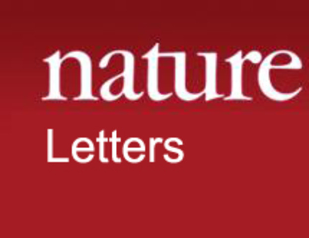 Plasmideo excisável 2A  iPSC - Keysuke