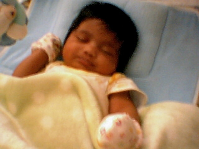 BORN IN INDIANAPOLIS