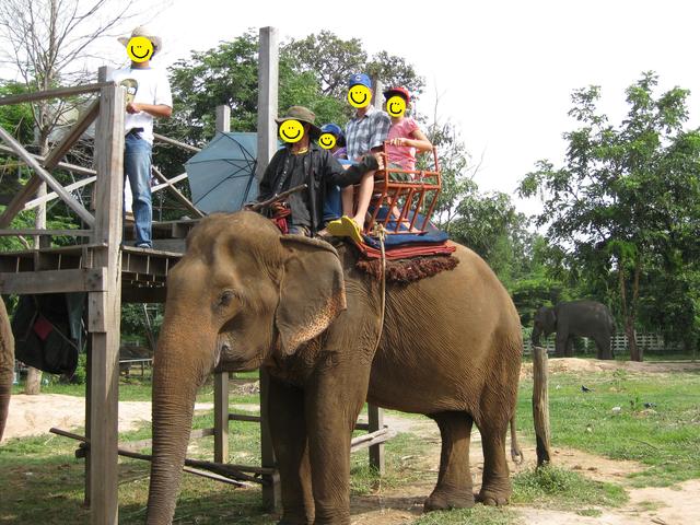 Rode an Elephant