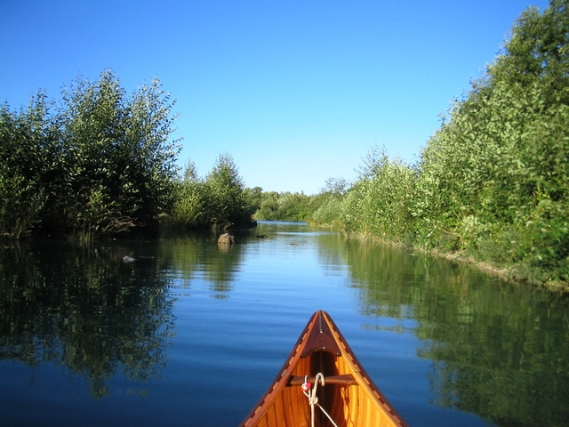 First Expedition (Thompson)