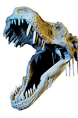 Dinosaurierna dog ut