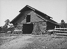Barn in Walker County, Alabama