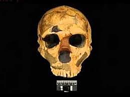 la aparición del trabajo de Wallace en Annals and magazine of Natural History