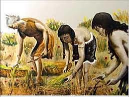 apareció formalmente la obra en las librerías el 24 de noviembre .