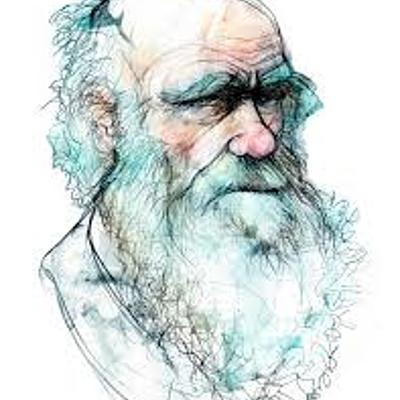 Timeline: Musas de Darwin