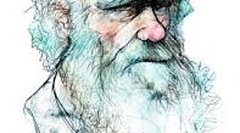 Timeline: Musas de Darwin