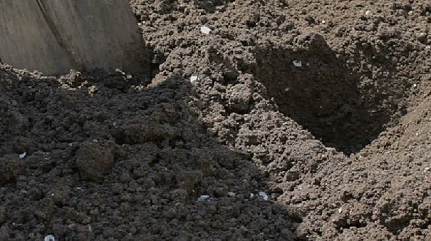 Two Days Later (After Bombing)