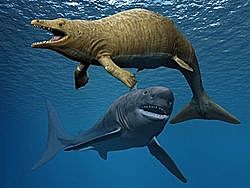 Predecesor de las ballenas (Biologia)