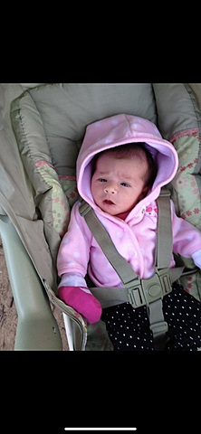 0-3 Months (CONTENT)