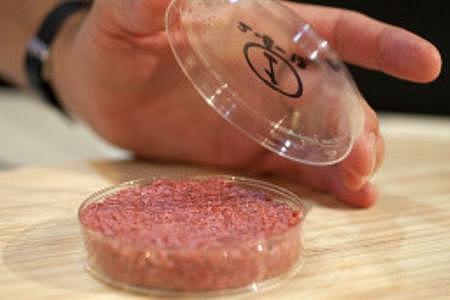 La hamburguesa sintética. (Química)