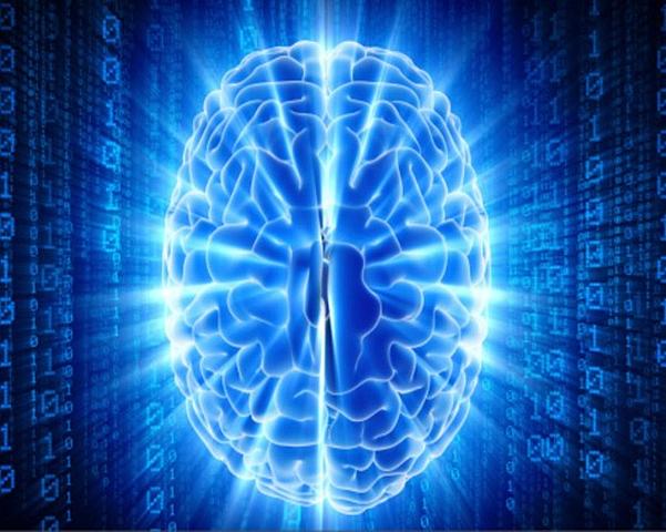 Encontraron la forma de manipular los recuerdos. (Neurología)