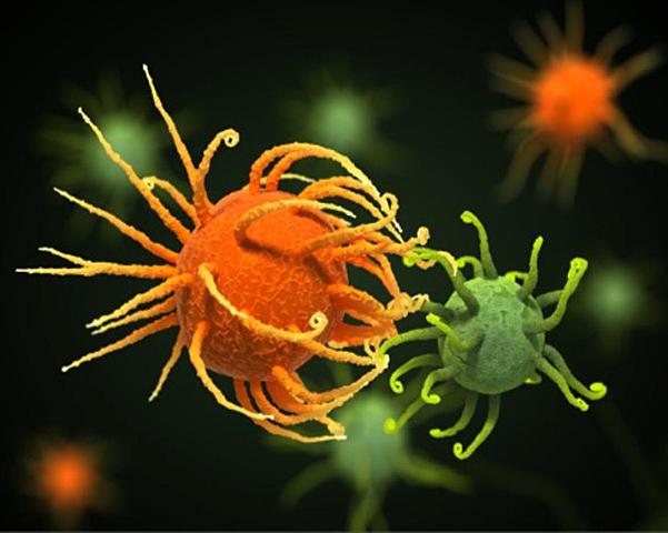 Detección del cáncer. (Medicina)