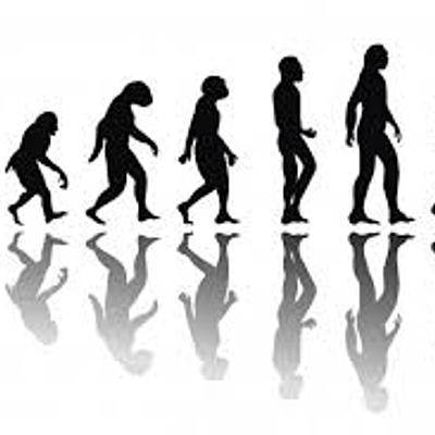 Timeline: Historia de la Antropología