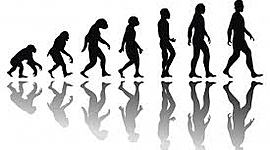 Timeline: Historia de la Antropología