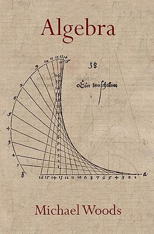 Surgimiento del álgebra