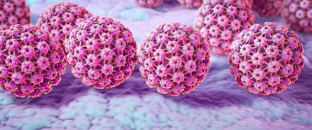 HPV and Pap smear test