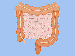 Colon and Rectal Cancer Screening