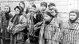Timeline: The Holocaust